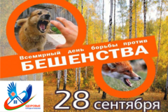 Всемирный день борьбы против бешентсва