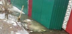 От весеннего паводка не застрахован никто