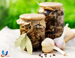 Зимние заготовки под контролем: радиологическая безопасность в ноябре Зимние заготовки под контролем: радиологическая безопасность в ноябре