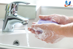 Профилактика острых кишечных инфекций