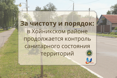За чистоту и порядок: в Хойникском районе продолжается контроль санитарного состояния территорий